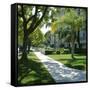 Trees and Grass Along Sidewalk, Beverly Hills, Los Angeles, California, USA-David Lomax-Framed Stretched Canvas