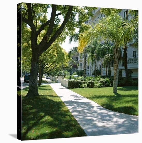 Trees and Grass Along Sidewalk, Beverly Hills, Los Angeles, California, USA-David Lomax-Stretched Canvas