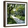 Trees and Grass Along Sidewalk, Beverly Hills, Los Angeles, California, USA-David Lomax-Framed Photographic Print