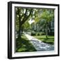 Trees and Grass Along Sidewalk, Beverly Hills, Los Angeles, California, USA-David Lomax-Framed Photographic Print