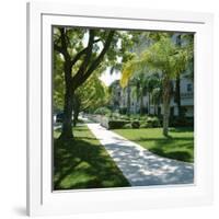 Trees and Grass Along Sidewalk, Beverly Hills, Los Angeles, California, USA-David Lomax-Framed Photographic Print