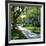 Trees and Grass Along Sidewalk, Beverly Hills, Los Angeles, California, USA-David Lomax-Framed Photographic Print