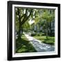 Trees and Grass Along Sidewalk, Beverly Hills, Los Angeles, California, USA-David Lomax-Framed Photographic Print
