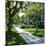 Trees and Grass Along Sidewalk, Beverly Hills, Los Angeles, California, USA-David Lomax-Mounted Photographic Print