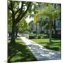 Trees and Grass Along Sidewalk, Beverly Hills, Los Angeles, California, USA-David Lomax-Mounted Photographic Print