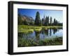 Trees and Grass Reflecting in Pond, High Uintas Wilderness, Wasatch National Forest, Utah, USA-Scott T. Smith-Framed Photographic Print