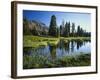 Trees and Grass Reflecting in Pond, High Uintas Wilderness, Wasatch National Forest, Utah, USA-Scott T. Smith-Framed Photographic Print