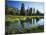 Trees and Grass Reflecting in Pond, High Uintas Wilderness, Wasatch National Forest, Utah, USA-Scott T. Smith-Mounted Photographic Print