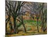 Trees and Houses, circa 1885-Paul Cézanne-Mounted Giclee Print