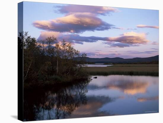 Trees and Lake at Sunset, Laponia, Lappland, Sweden, Scandinavia-Gavin Hellier-Stretched Canvas