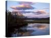 Trees and Lake at Sunset, Laponia, Lappland, Sweden, Scandinavia-Gavin Hellier-Stretched Canvas