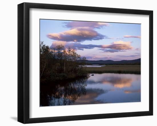 Trees and Lake at Sunset, Laponia, Lappland, Sweden, Scandinavia-Gavin Hellier-Framed Premium Photographic Print