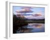 Trees and Lake at Sunset, Laponia, Lappland, Sweden, Scandinavia-Gavin Hellier-Framed Premium Photographic Print