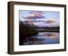 Trees and Lake at Sunset, Laponia, Lappland, Sweden, Scandinavia-Gavin Hellier-Framed Photographic Print