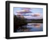 Trees and Lake at Sunset, Laponia, Lappland, Sweden, Scandinavia-Gavin Hellier-Framed Photographic Print