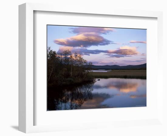 Trees and Lake at Sunset, Laponia, Lappland, Sweden, Scandinavia-Gavin Hellier-Framed Photographic Print