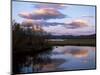 Trees and Lake at Sunset, Laponia, Lappland, Sweden, Scandinavia-Gavin Hellier-Mounted Photographic Print