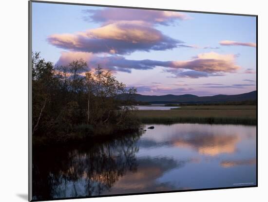 Trees and Lake at Sunset, Laponia, Lappland, Sweden, Scandinavia-Gavin Hellier-Mounted Photographic Print