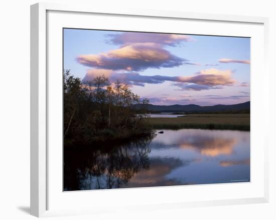 Trees and Lake at Sunset, Laponia, Lappland, Sweden, Scandinavia-Gavin Hellier-Framed Photographic Print