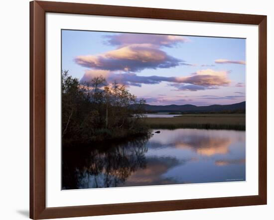 Trees and Lake at Sunset, Laponia, Lappland, Sweden, Scandinavia-Gavin Hellier-Framed Photographic Print
