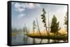Trees and mist at sunrise along Firehole River, Yellowstone National Park, Wyoming-Adam Jones-Framed Stretched Canvas
