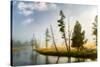 Trees and mist at sunrise along Firehole River, Yellowstone National Park, Wyoming-Adam Jones-Stretched Canvas