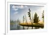 Trees and mist at sunrise along Firehole River, Yellowstone National Park, Wyoming-Adam Jones-Framed Premium Photographic Print