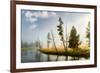Trees and mist at sunrise along Firehole River, Yellowstone National Park, Wyoming-Adam Jones-Framed Premium Photographic Print