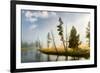 Trees and mist at sunrise along Firehole River, Yellowstone National Park, Wyoming-Adam Jones-Framed Premium Photographic Print