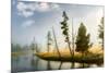 Trees and mist at sunrise along Firehole River, Yellowstone National Park, Wyoming-Adam Jones-Mounted Premium Photographic Print