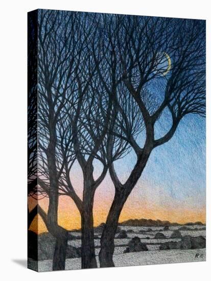 Trees and Moon, 2015-Ann Brain-Stretched Canvas