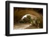 Trees and natural sandstone arch in desert, Navajo Arch, Arches , Utah-Bob Gibbons-Framed Photographic Print