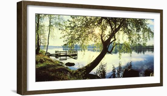 Trees and pier by the Vuoksi River, Imatra, Finland-null-Framed Photographic Print