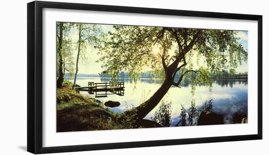 Trees and pier by the Vuoksi River, Imatra, Finland-null-Framed Premium Photographic Print