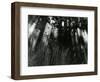 Trees and Plants, Hawaii, 1978-Brett Weston-Framed Photographic Print