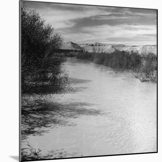 Trees and Scrub Lining the River Jordan, Mountains in the Background-Dmitri Kessel-Mounted Photographic Print