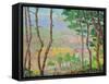 Trees and Town-Jukyong Park-Framed Stretched Canvas