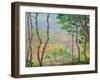 Trees and Town-Jukyong Park-Framed Photographic Print