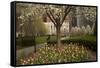 Trees and Tulips in Blloom in Mellon Green, Pittsburgh, Pa-Dave Bartruff-Framed Stretched Canvas