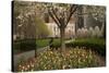 Trees and Tulips in Blloom in Mellon Green, Pittsburgh, Pa-Dave Bartruff-Stretched Canvas