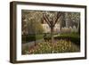 Trees and Tulips in Blloom in Mellon Green, Pittsburgh, Pa-Dave Bartruff-Framed Photographic Print