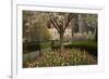 Trees and Tulips in Blloom in Mellon Green, Pittsburgh, Pa-Dave Bartruff-Framed Photographic Print