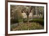 Trees and Tulips in Blloom in Mellon Green, Pittsburgh, Pa-Dave Bartruff-Framed Photographic Print