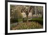 Trees and Tulips in Blloom in Mellon Green, Pittsburgh, Pa-Dave Bartruff-Framed Photographic Print