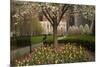 Trees and Tulips in Blloom in Mellon Green, Pittsburgh, Pa-Dave Bartruff-Mounted Photographic Print