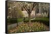 Trees and Tulips in Blloom in Mellon Green, Pittsburgh, Pa-Dave Bartruff-Framed Stretched Canvas