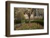 Trees and Tulips in Blloom in Mellon Green, Pittsburgh, Pa-Dave Bartruff-Framed Premium Photographic Print