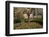 Trees and Tulips in Blloom in Mellon Green, Pittsburgh, Pa-Dave Bartruff-Framed Premium Photographic Print