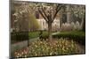 Trees and Tulips in Blloom in Mellon Green, Pittsburgh, Pa-Dave Bartruff-Mounted Premium Photographic Print