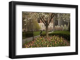 Trees and Tulips in Blloom in Mellon Green, Pittsburgh, Pa-Dave Bartruff-Framed Photographic Print